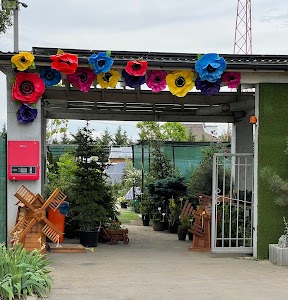 Садовий центр НОВАСАД place picture